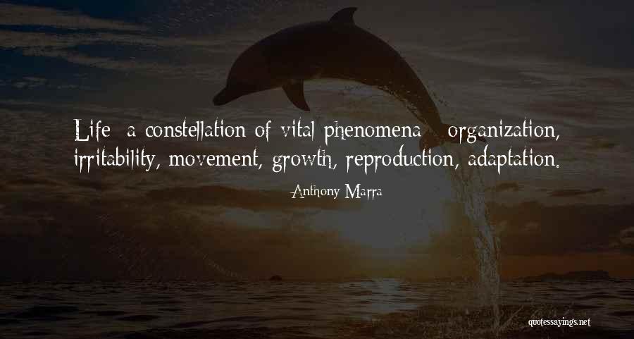 Bhranti Bilas Quotes By Anthony Marra Bhranti Bilas Quotes By Anthony Marra