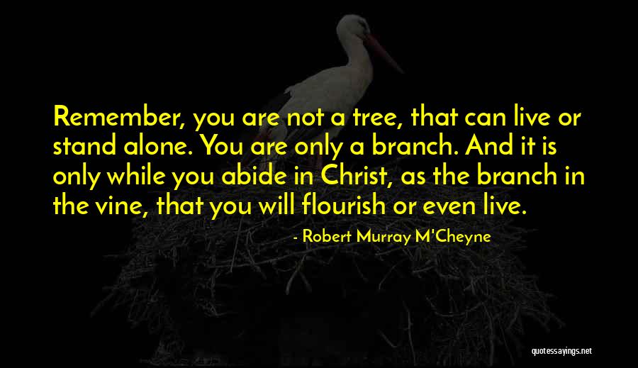 Bhul Gaye Quotes By Robert Murray M'Cheyne Bhul Gaye Quotes By Robert Murray M'Cheyne