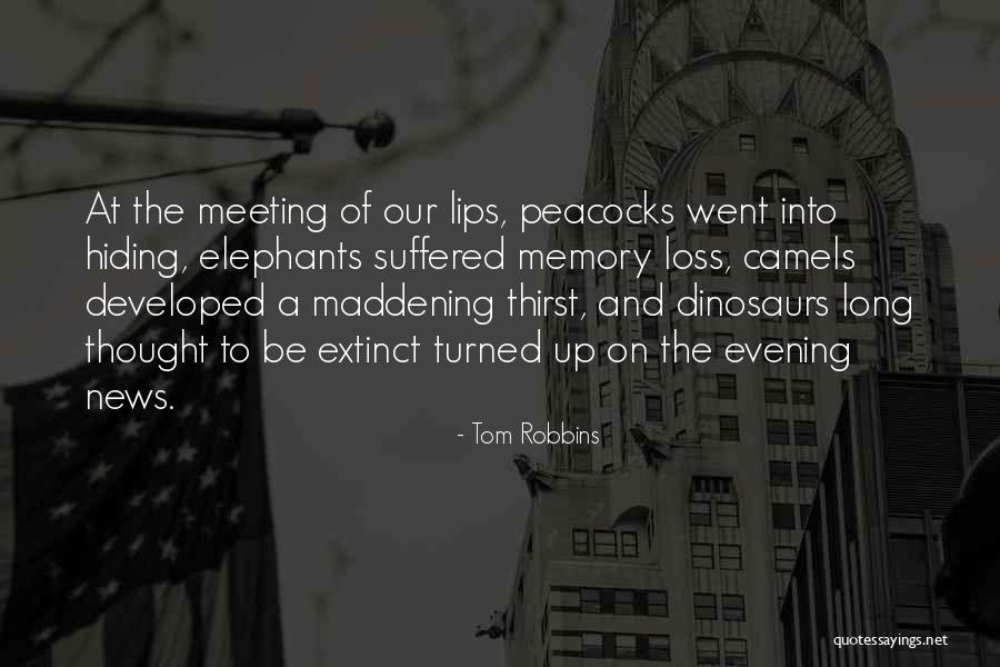 Bhupesh Singh Quotes By Tom Robbins Bhupesh Singh Quotes By Tom Robbins