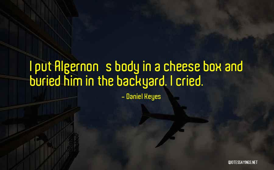 Bi Ikon Quotes By Daniel Keyes Bi Ikon Quotes By Daniel Keyes
