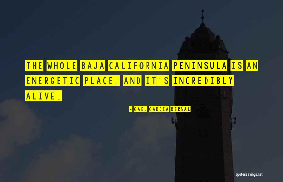 Bialek And Bialek Quotes By Gael Garcia Bernal Bialek And Bialek Quotes By Gael Garcia Bernal