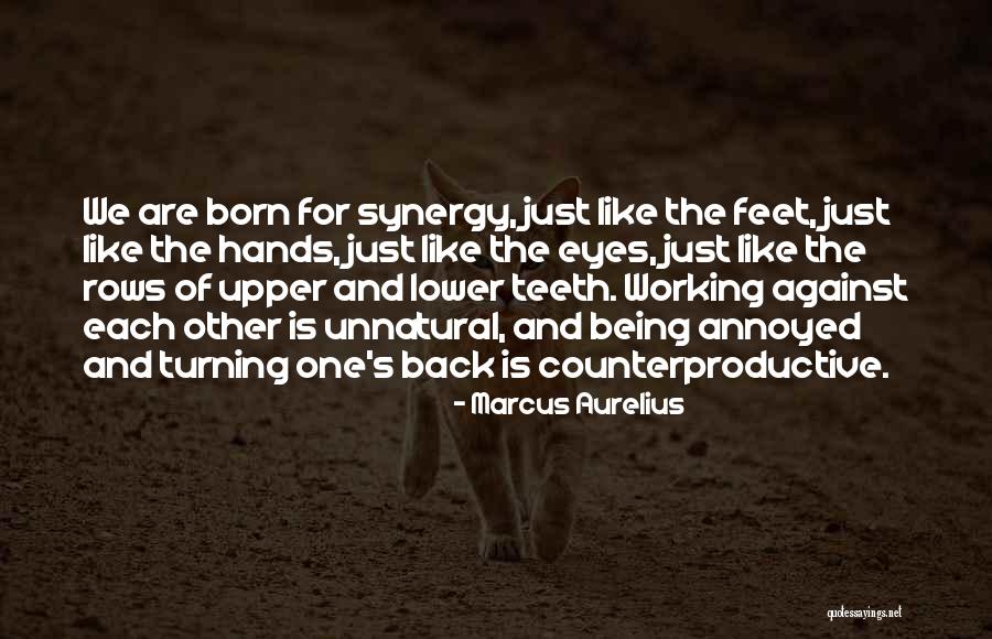 Biamonte Construction Quotes By Marcus Aurelius Biamonte Construction Quotes By Marcus Aurelius