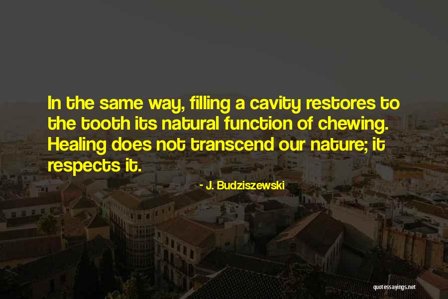 Biancaniello Quotes By J. Budziszewski Biancaniello Quotes By J. Budziszewski
