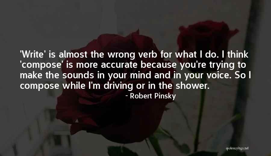 Bianchetti Park Quotes By Robert Pinsky Bianchetti Park Quotes By Robert Pinsky