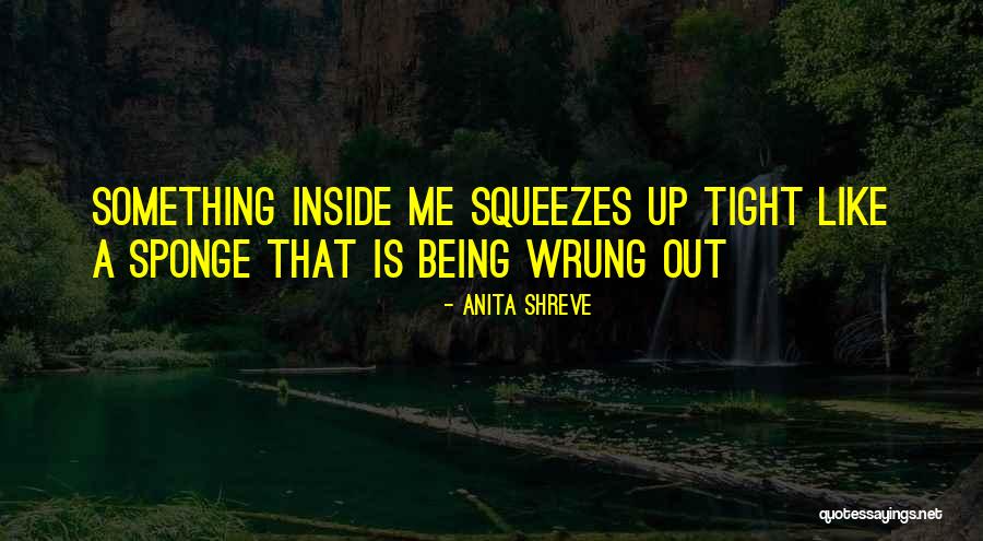 Bianglala Tempozan Quotes By Anita Shreve Bianglala Tempozan Quotes By Anita Shreve