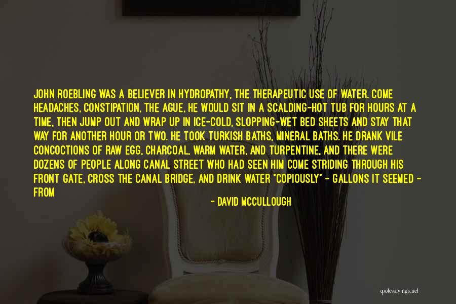 Bianna Golodryga Quotes By David McCullough Bianna Golodryga Quotes By David McCullough