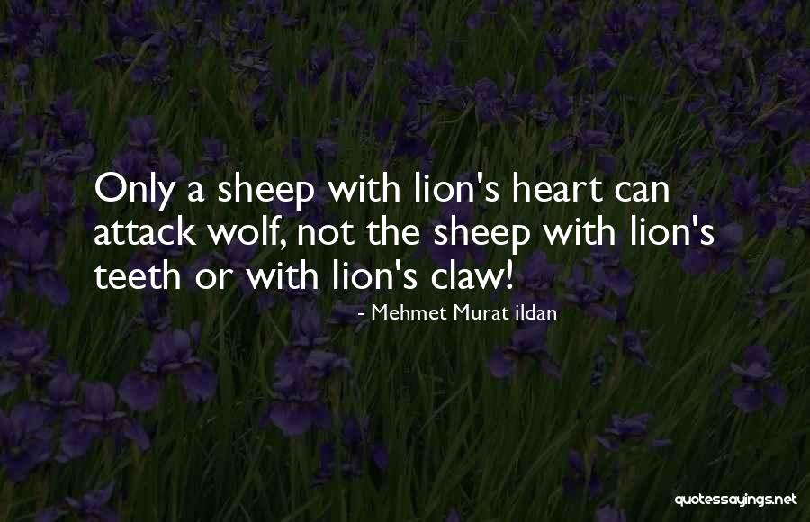 Biathlon Results Quotes By Mehmet Murat Ildan Biathlon Results Quotes By Mehmet Murat Ildan
