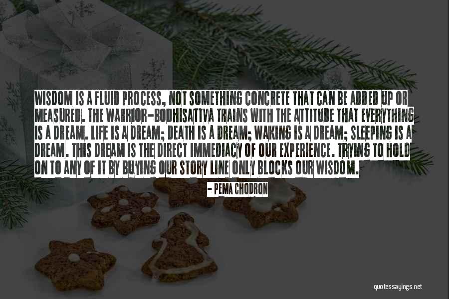 Bibamus Moriendum Quotes By Pema Chodron Bibamus Moriendum Quotes By Pema Chodron