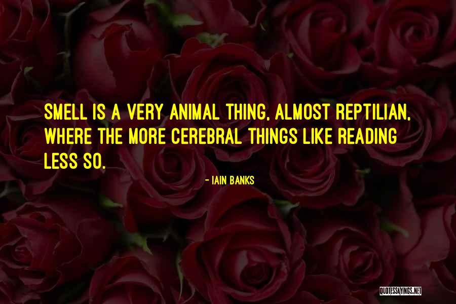 Biberman Edward Quotes By Iain Banks Biberman Edward Quotes By Iain Banks