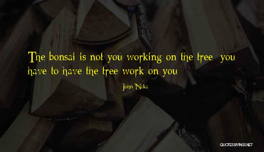 Bibhu Padhi Quotes By John Naka