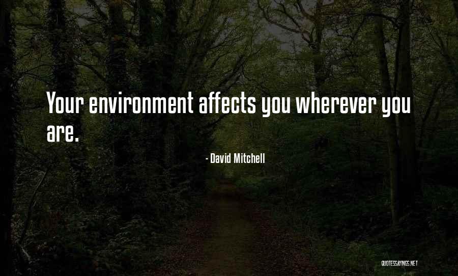 Bibiana Quotes By David Mitchell