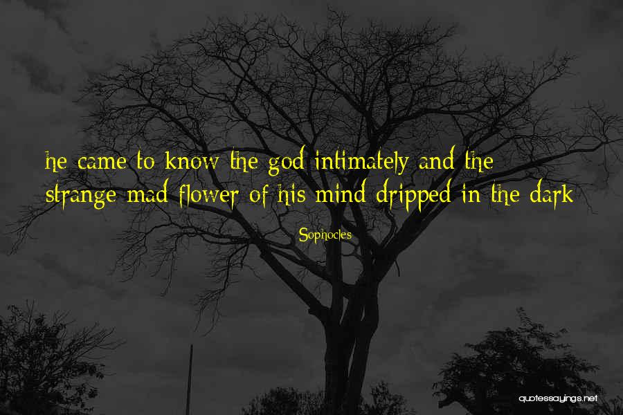 Bibicheff Quotes By Sophocles Bibicheff Quotes By Sophocles