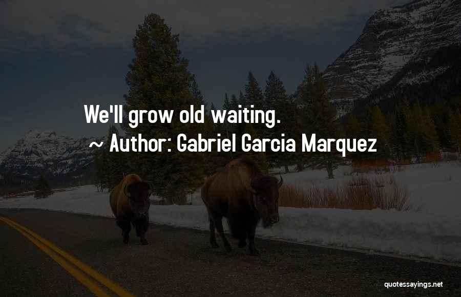 Bibingkang Quotes By Gabriel Garcia Marquez