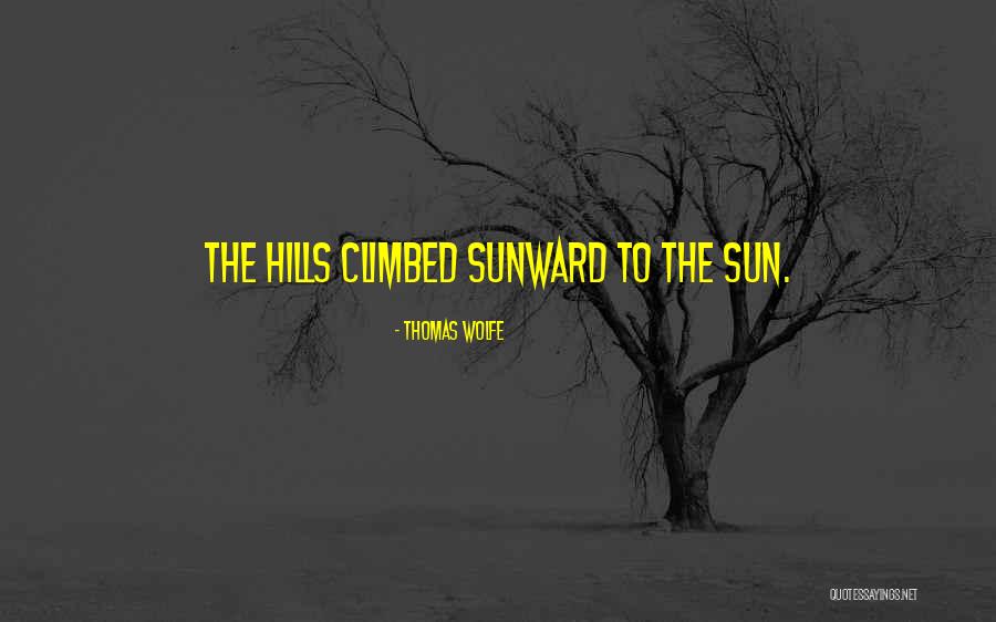 Bible Evangelizing Quotes By Thomas Wolfe Bible Evangelizing Quotes By Thomas Wolfe