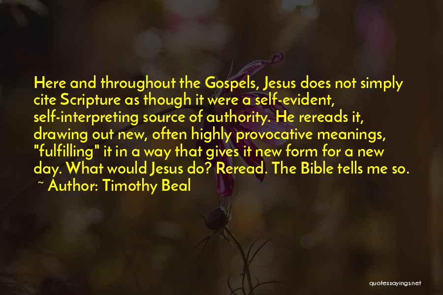 Bible Gospels Quotes By Timothy Beal