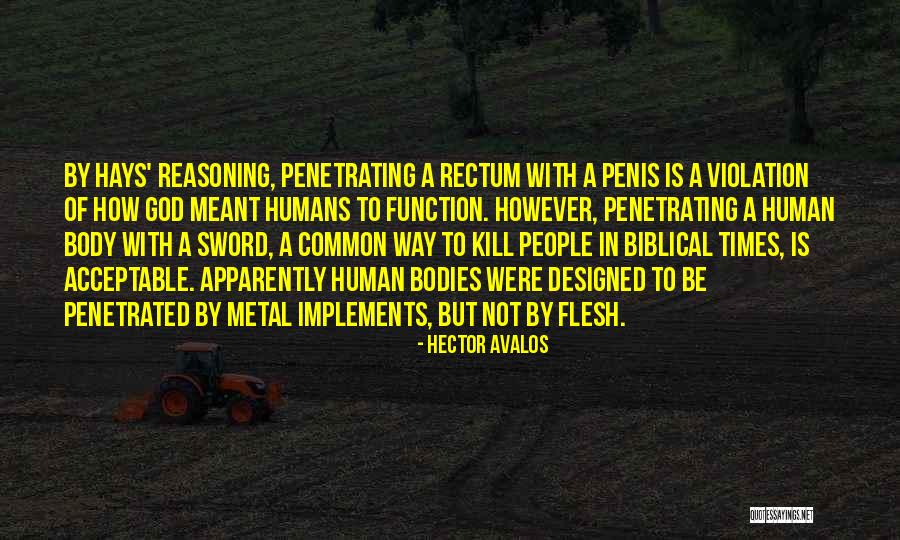 Bible Homosexuality Quotes By Hector Avalos Bible Homosexuality Quotes By Hector Avalos