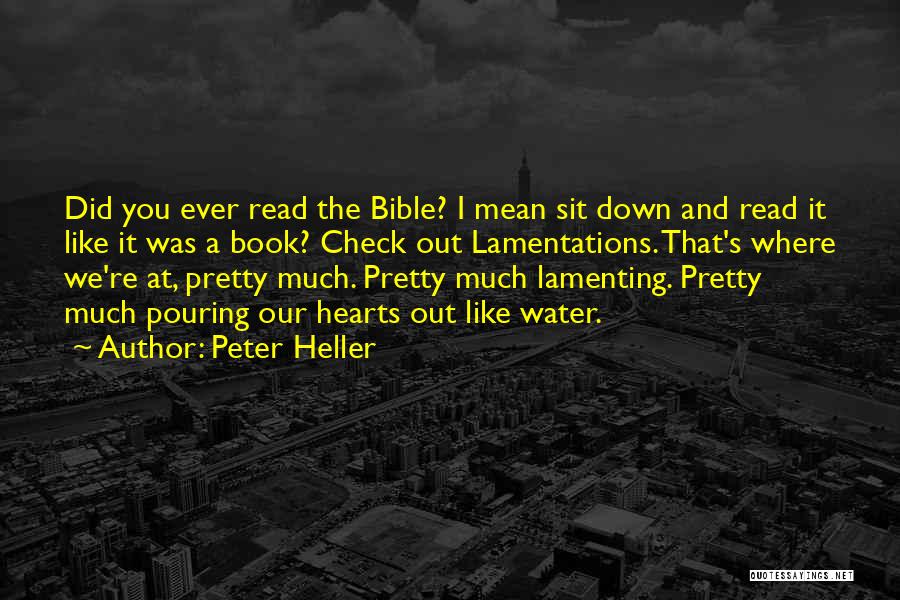 Bible Lamentations Quotes By Peter Heller