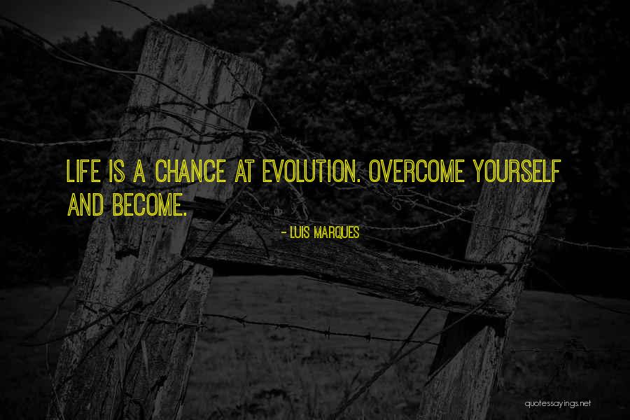 Bible Magic Quotes By Luis Marques Bible Magic Quotes By Luis Marques