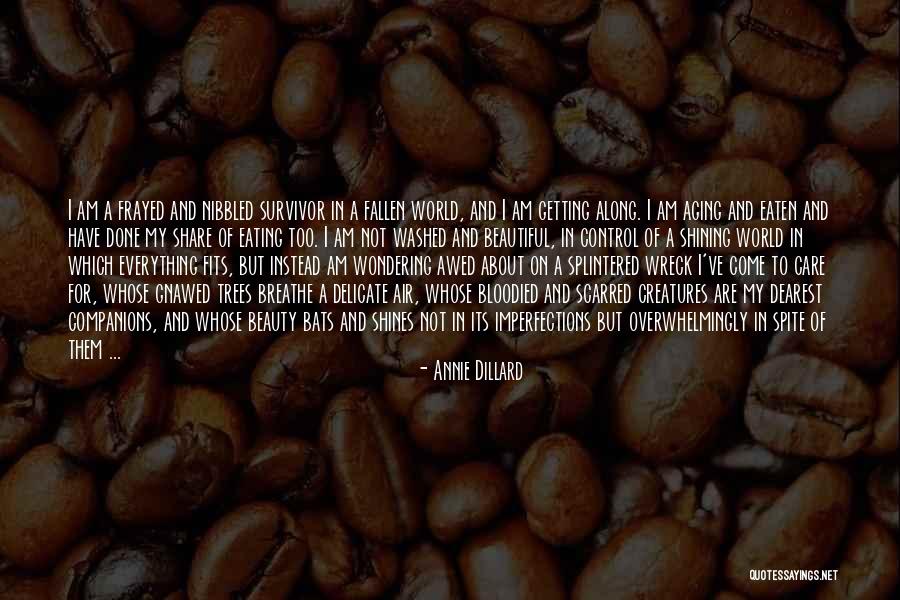 Bible Possibilities Quotes By Annie Dillard Bible Possibilities Quotes By Annie Dillard