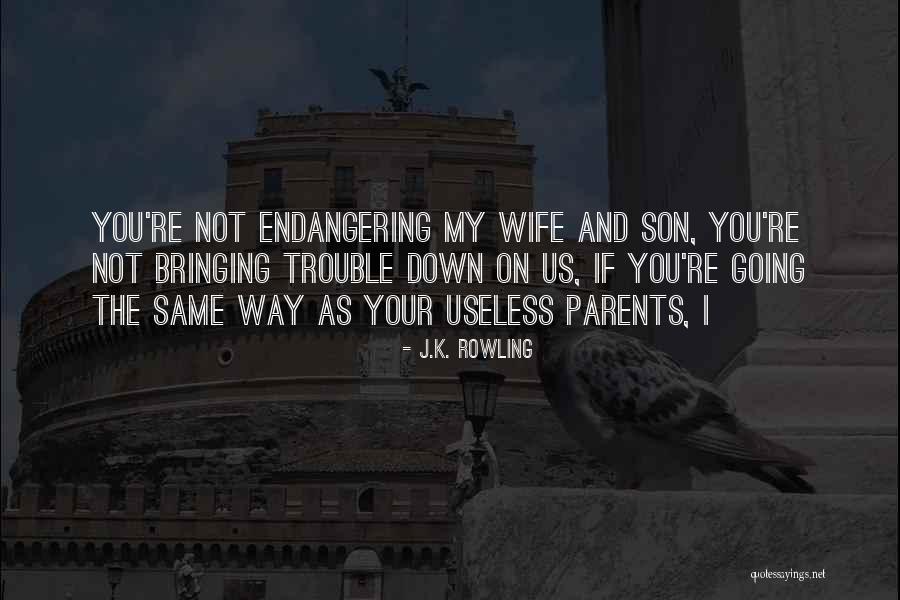 Bible Reaping What You Sow Quotes By J.K. Rowling Bible Reaping What You Sow Quotes By J.K. Rowling