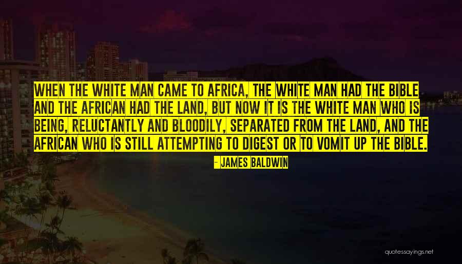 Bible Which Came Quotes By James Baldwin Bible Which Came Quotes By James Baldwin