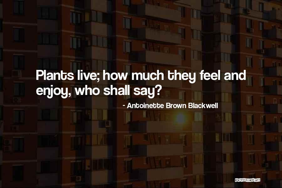 Bible Wilderness Quotes By Antoinette Brown Blackwell