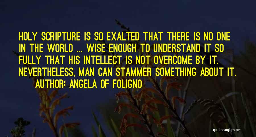 Bible Wise Quotes By Angela Of Foligno