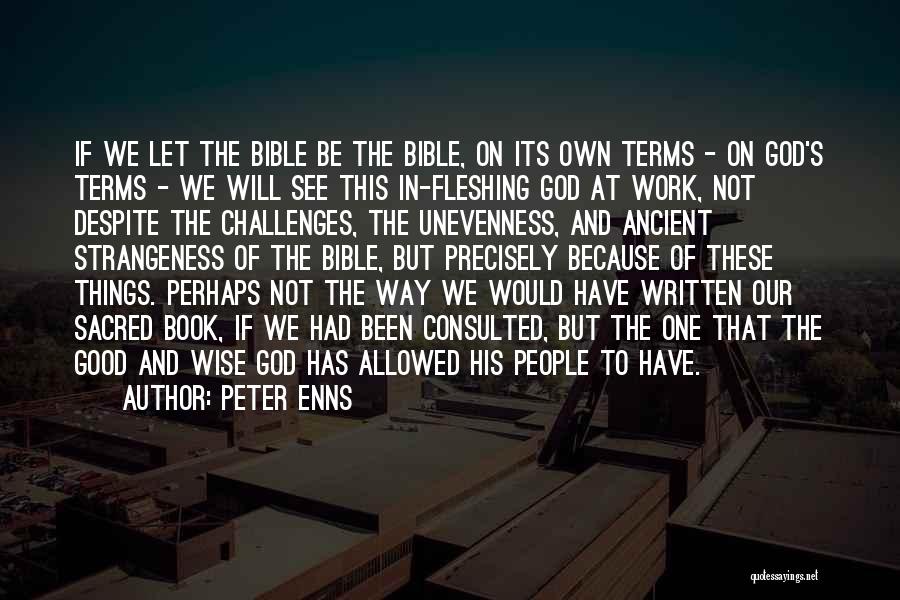 Bible Wise Quotes By Peter Enns