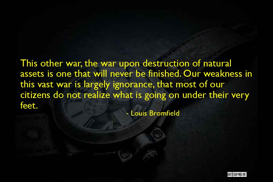 Biblethump Quotes By Louis Bromfield Biblethump Quotes By Louis Bromfield