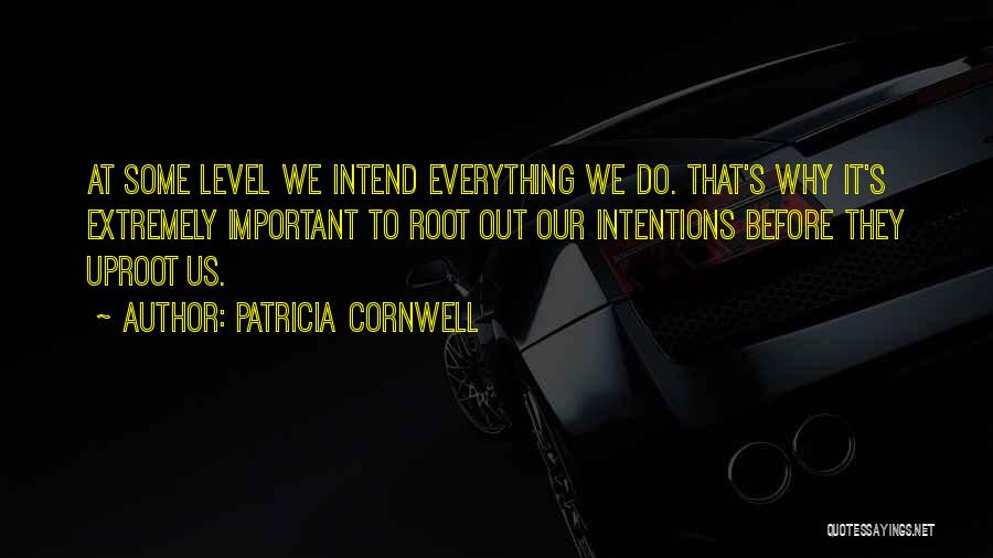 Bibliotecaria Emprego Quotes By Patricia Cornwell