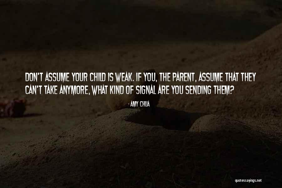 Bicalho Silvia Quotes By Amy Chua Bicalho Silvia Quotes By Amy Chua