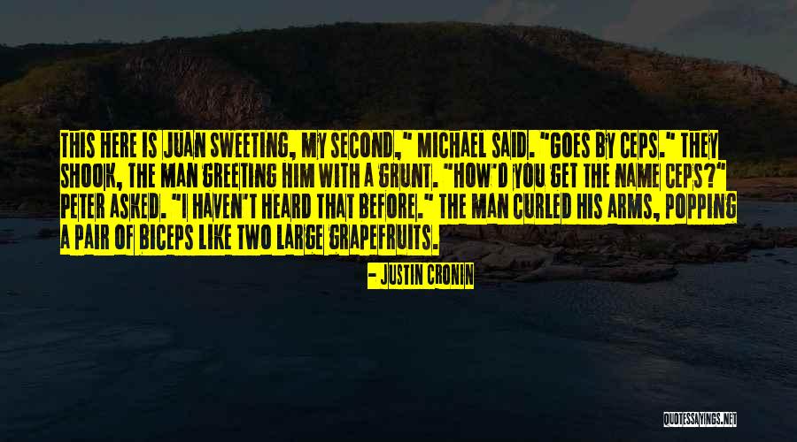 Biceps Quotes By Justin Cronin