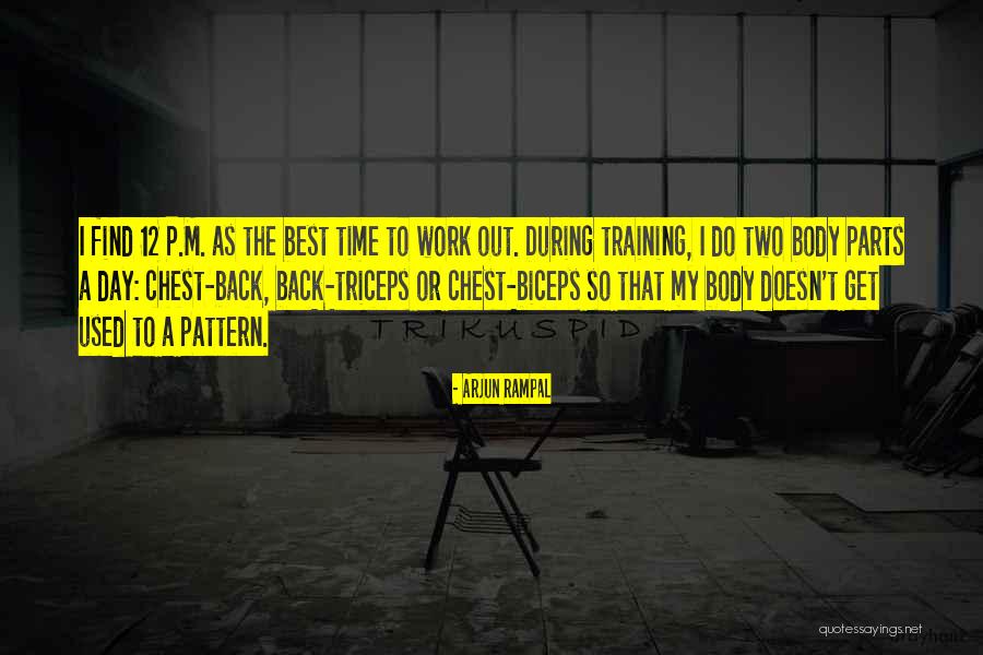 Biceps Triceps Quotes By Arjun Rampal Biceps Triceps Quotes By Arjun Rampal