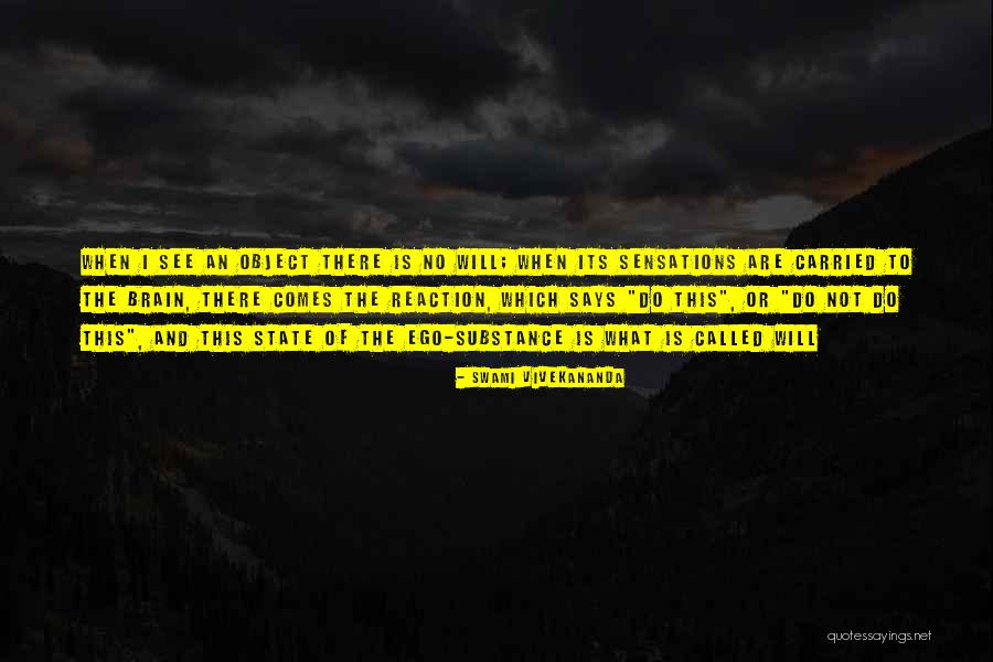 Biciclista Jersey Quotes By Swami Vivekananda Biciclista Jersey Quotes By Swami Vivekananda