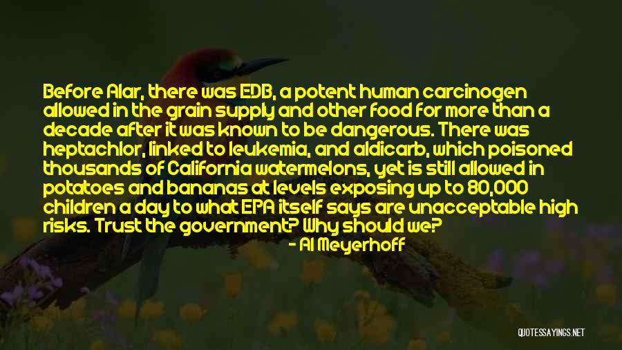 Bicky Rib Quotes By Al Meyerhoff Bicky Rib Quotes By Al Meyerhoff