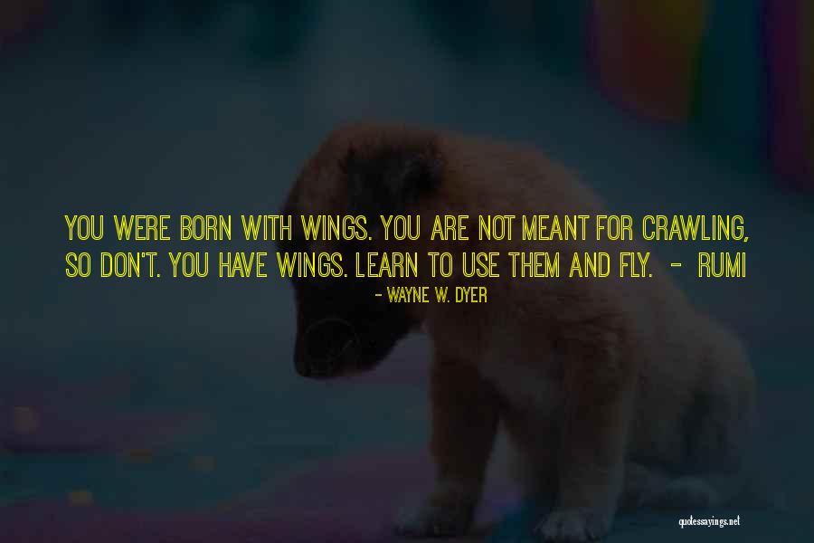 Bicurious Characters Quotes By Wayne W. Dyer Bicurious Characters Quotes By Wayne W. Dyer