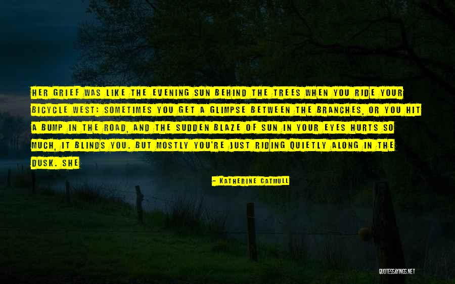 Bicycle Riding Quotes By Katherine Catmull Bicycle Riding Quotes By Katherine Catmull
