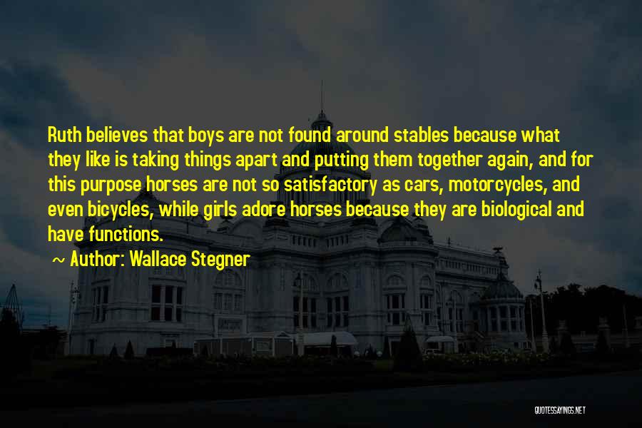 Bicycles Quotes By Wallace Stegner