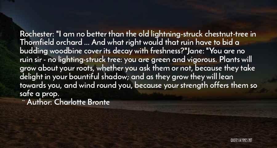 Bid Ask Quotes By Charlotte Bronte