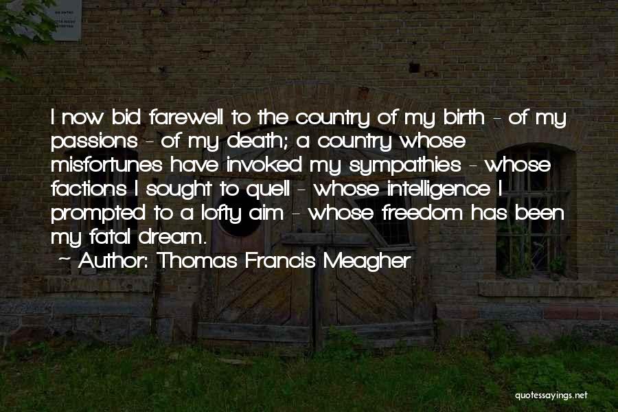 Bid You Farewell Quotes By Thomas Francis Meagher
