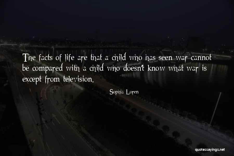Bidang Quotes By Sophia Loren Bidang Quotes By Sophia Loren