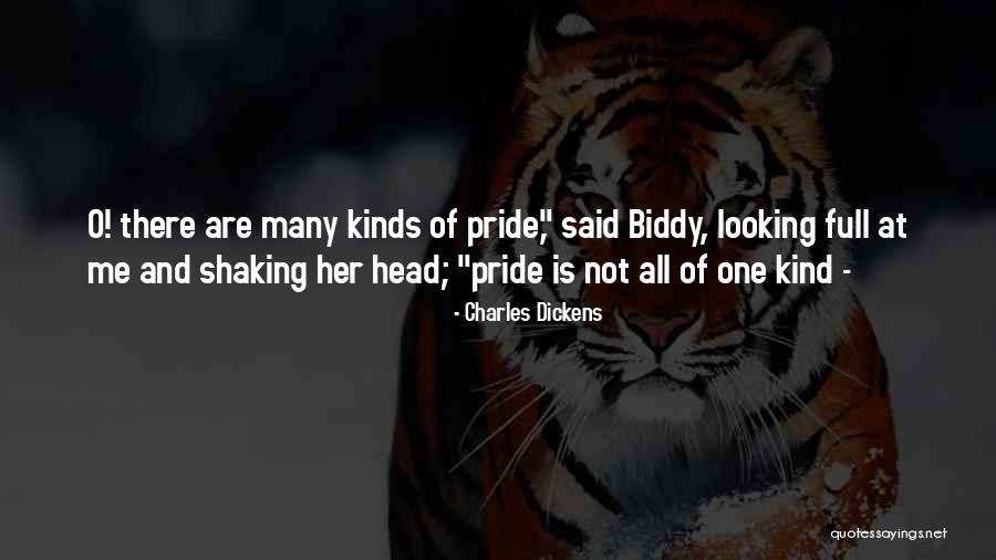 Biddy Quotes By Charles Dickens Biddy Quotes By Charles Dickens