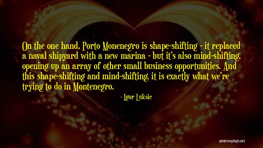 Bidhaa Za Quotes By Igor Luksic Bidhaa Za Quotes By Igor Luksic