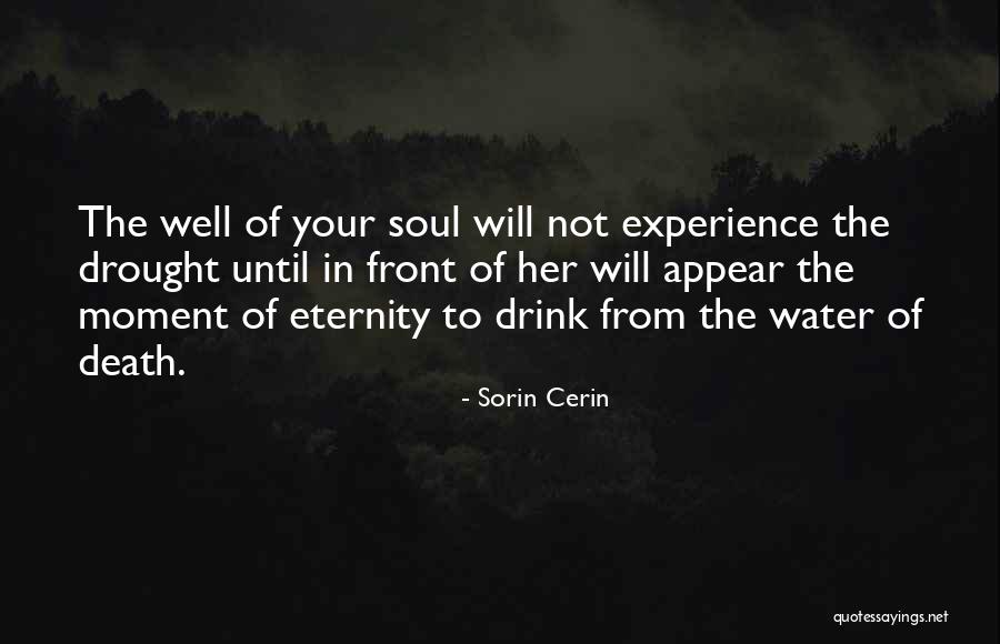 Bidhaa Zenye Quotes By Sorin Cerin Bidhaa Zenye Quotes By Sorin Cerin