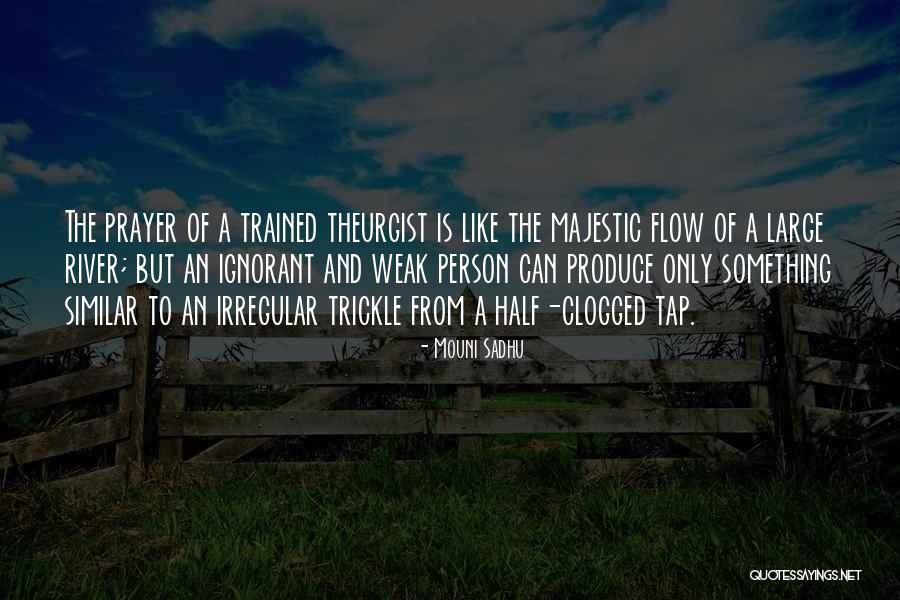 Bidorbuy Quotes By Mouni Sadhu Bidorbuy Quotes By Mouni Sadhu