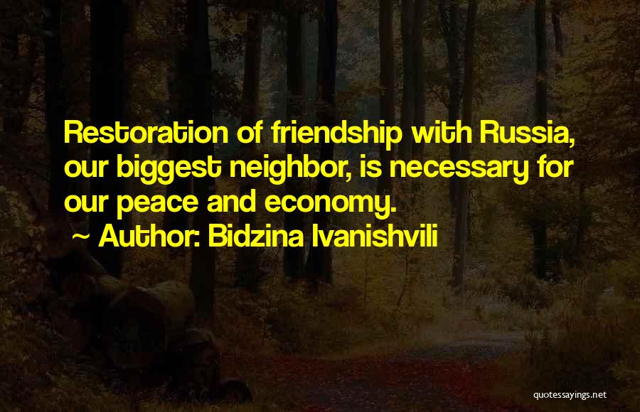 Bidzina Ivanishvili Quotes 1581213