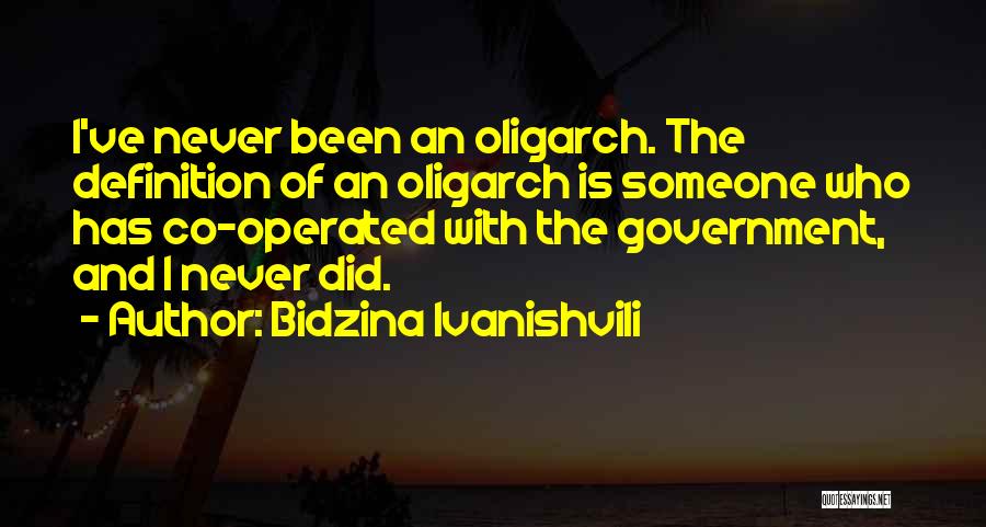 Bidzina Ivanishvili Quotes 485685