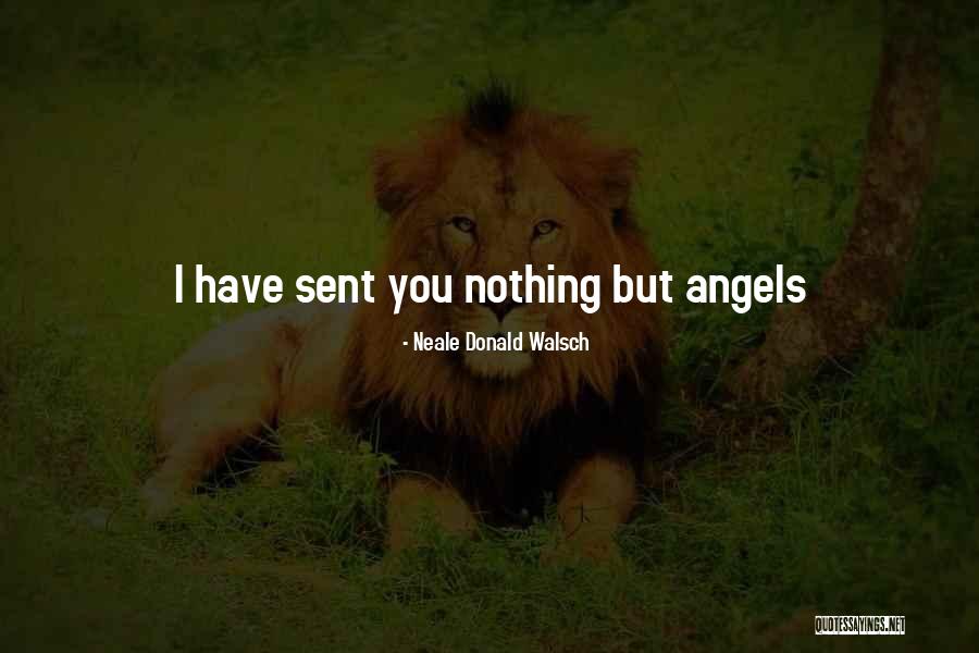 Bieatch Quotes By Neale Donald Walsch Bieatch Quotes By Neale Donald Walsch