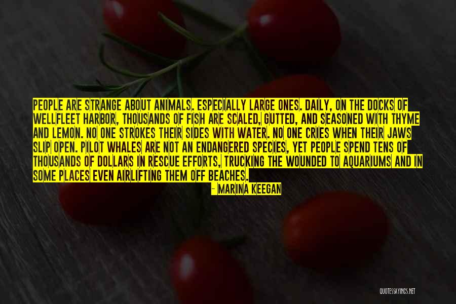 Bielak Grzyb Quotes By Marina Keegan Bielak Grzyb Quotes By Marina Keegan