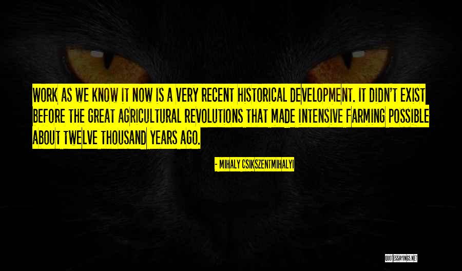 Bielefeldt Quotes By Mihaly Csikszentmihalyi Bielefeldt Quotes By Mihaly Csikszentmihalyi